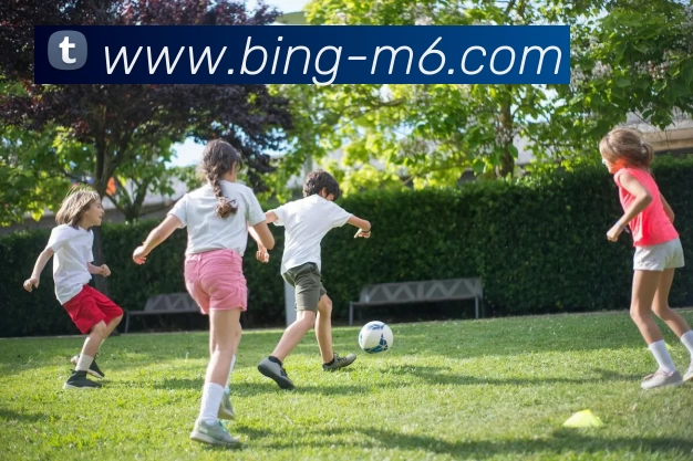 App Interface Preview