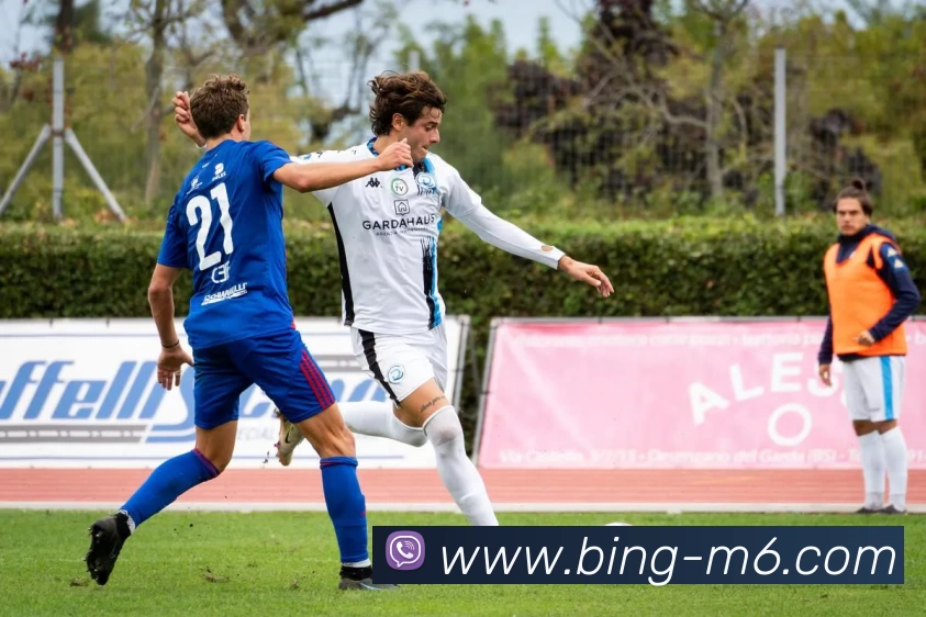 米乐体育APP 封面图